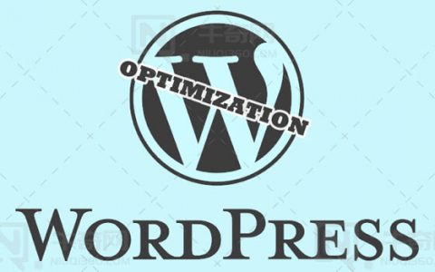 如何优化Wordpress网站