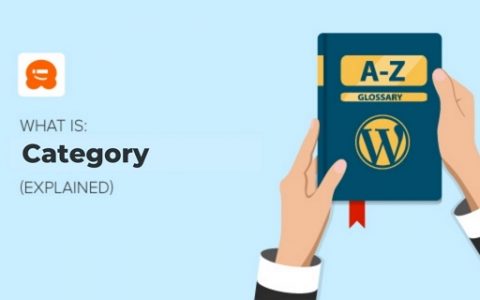 如何设置WordPress的文章分类