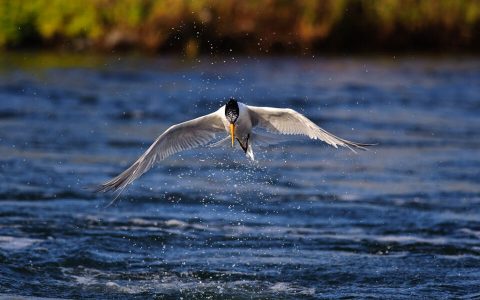 摄影中的快门速度是什么意思？应该如何使用快门速度？