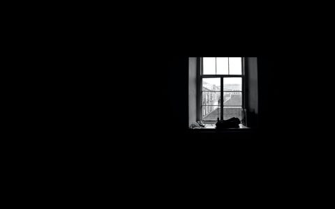 相机里面的 ISO 指的是什么？