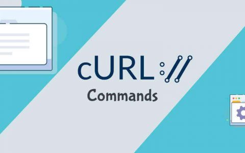 如何使用 cURL 下载文件