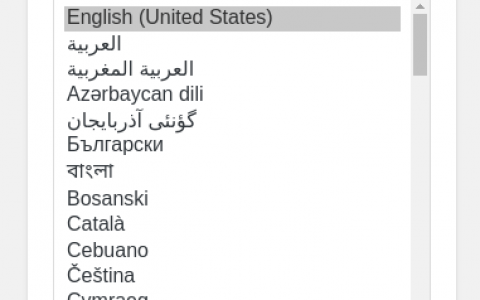 如何在 Ubuntu 20.04 上使用 LEMP 安装 WordPress
