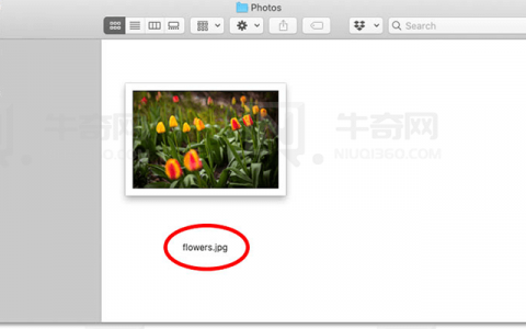 如何使 Photoshop 成为 Mac 上的默认图像编辑器