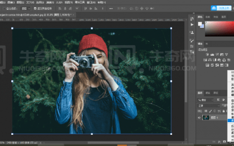 如何在 Photoshop 中使用 LUT