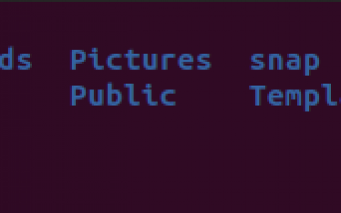 如何在 Linux 中移动目录