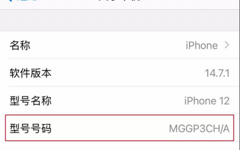 iphone 手机的型号号码有哪些含义？