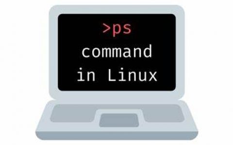 如何查看Linux系统上占用内存和CPU最多的进程