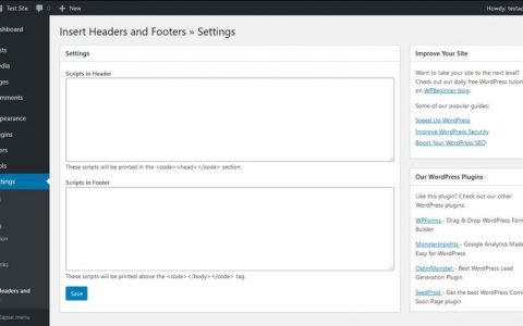 如何将自定义 JavaScript 添加到 WordPress 网站