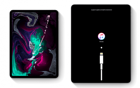 ipad / ipad pro 如何入 DFU 模式