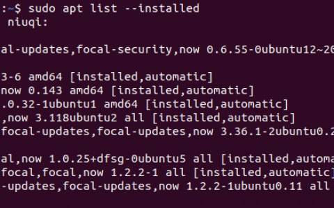 使用命令行在 Ubuntu 上卸载软件包