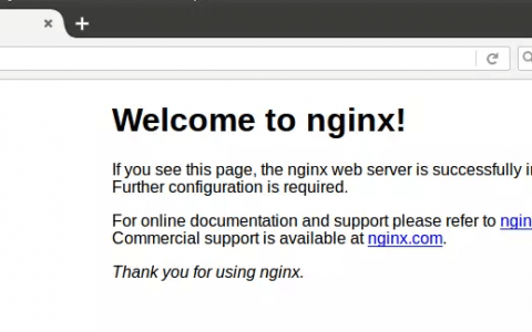 如何在 Ubuntu 系统上安装 Nginx