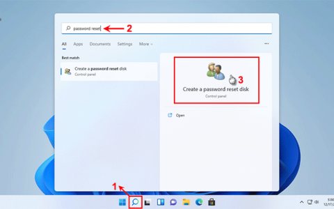 如何在 Windows 11 中创建和使用密码重置盘