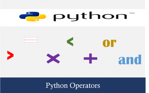 Python 中常用的运算符有哪几种（Python 运算符及用法）
