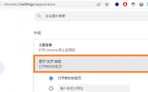 谷歌浏览器如何显示主页按钮