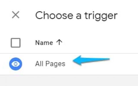 Google 跟踪代码管理器中的页面变量和浏览量触发器