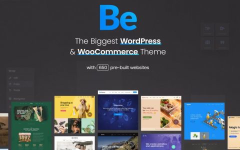 BeTheme 主题介绍 — 一款优秀的 WordPress 响应式多功能主题