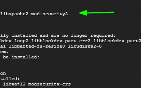 如何在 Debian/Ubuntu 上为 Apache 安装和配置 ModSecurity