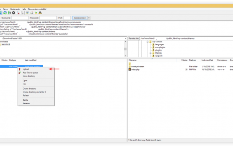如何通过 FTP 手动安装 Astra 主题
