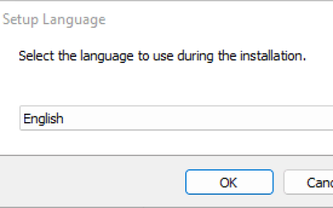 Windows 11 安装 WAMP 服务器指南