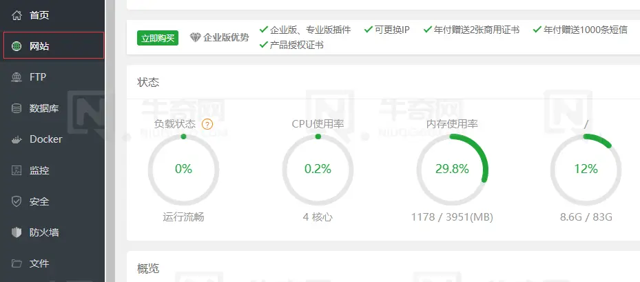 宝塔面板如何通过IP访问网站