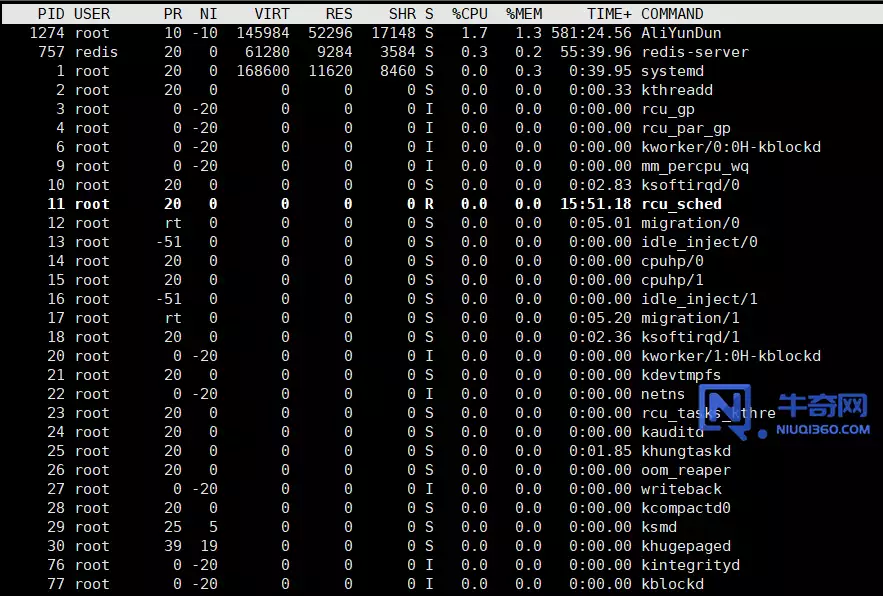 如何在 Linux 中检查内存使用情况