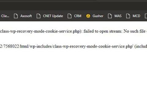 如何解决WordPress中“Failed To Open Stream”错误