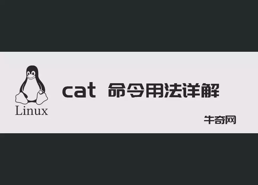 cat 命令的用法详解
