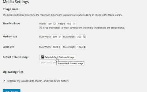 如何在 WordPress 文章列表中设置特色图片