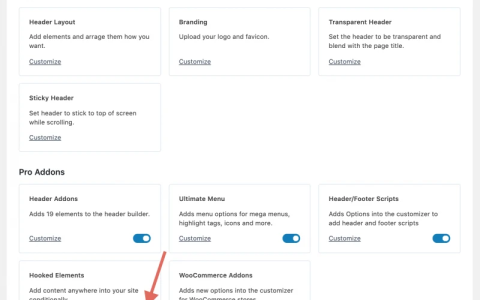 Kadence主题钩子的用法